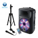 Bocina Amplificada 15” de 12000W